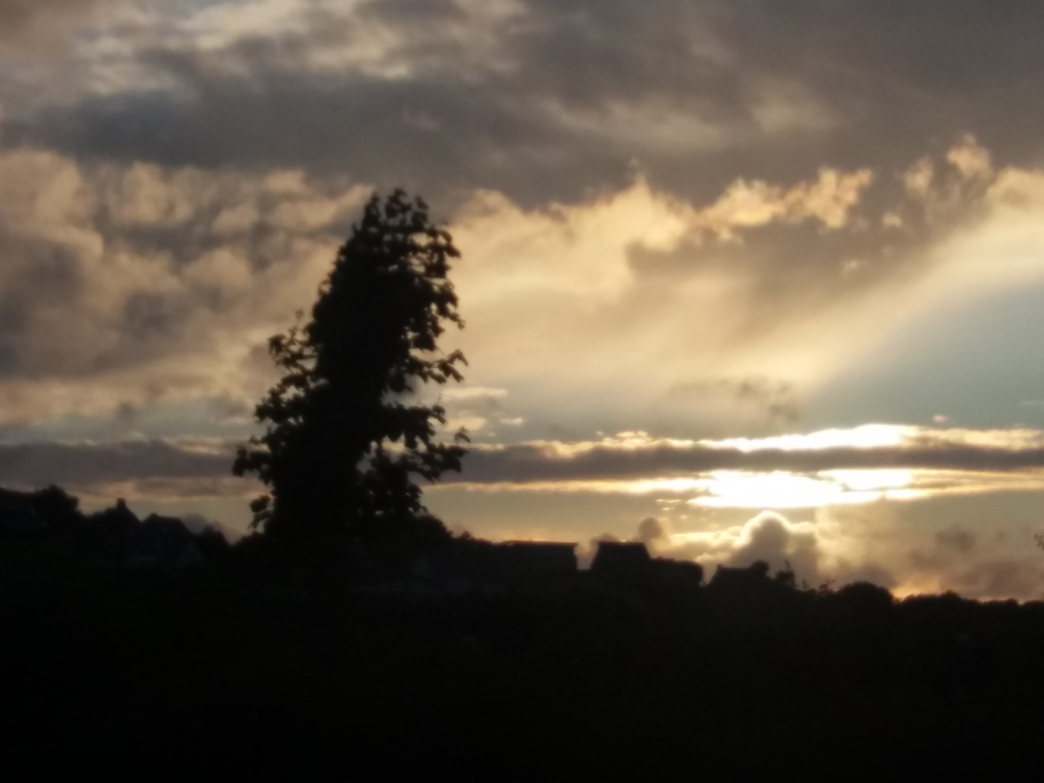Balade dans le camping pour admirer le coucher du soleil