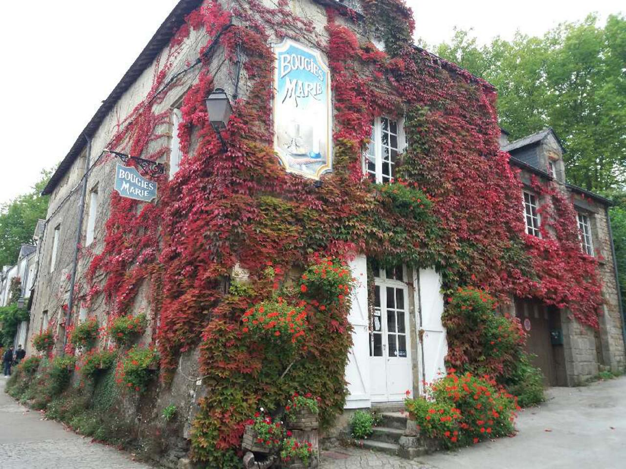 Rochefort en Terre 