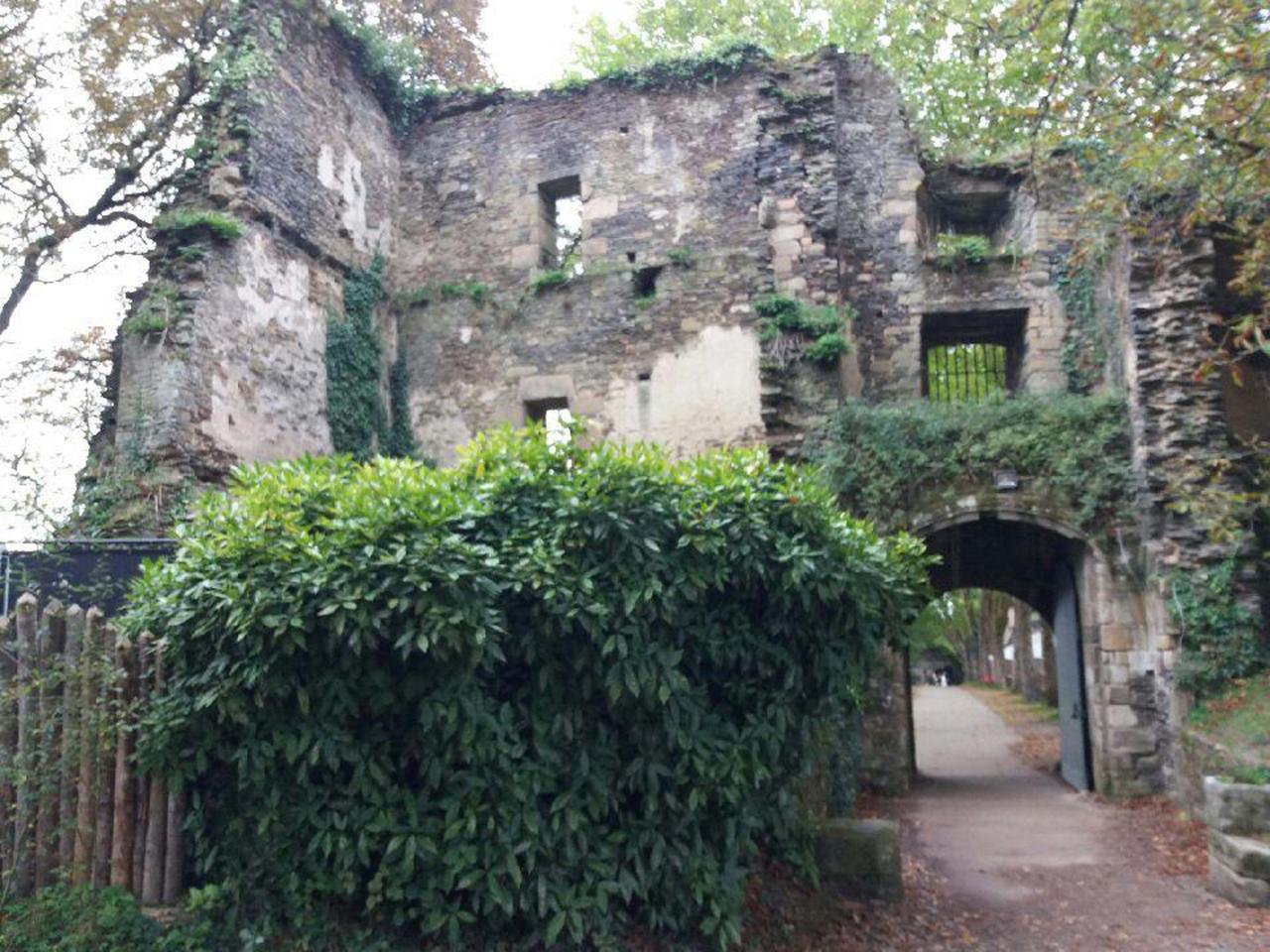 Rochefort en Terre 